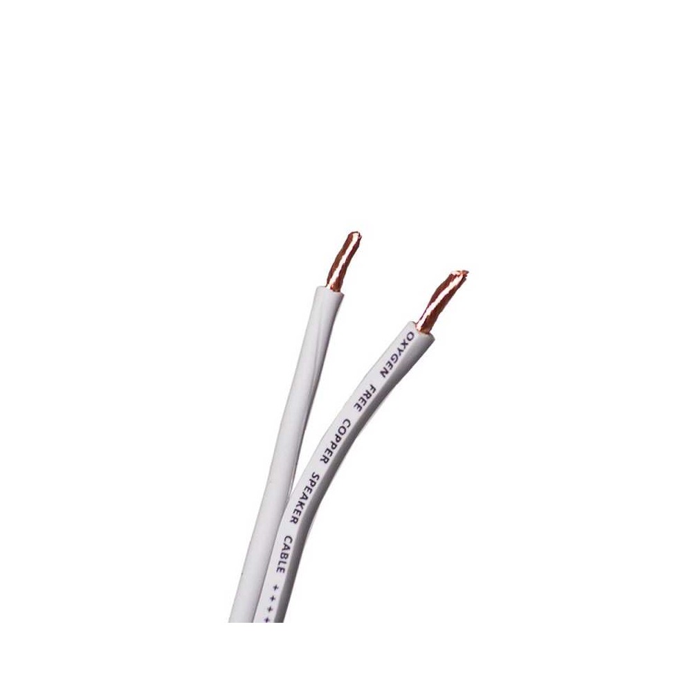 4 Connect 2 x 2.5 mm² Blanc OFC (100% cuivre)